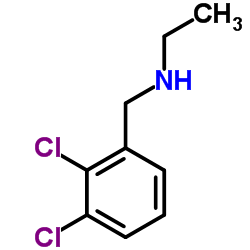 N-(2,3-Dichlorobenzyl)ethanamine Structure