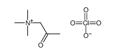 trimethyl(2-oxopropyl)azanium,perchlorate Structure
