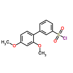 2',4'-Dimethoxy-3-biphenylsulfonyl chloride结构式