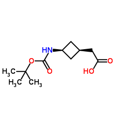 [cis-3-({[(2-Methyl-2-propanyl)oxy]carbonyl}amino)cyclobutyl]acetic acid Structure
