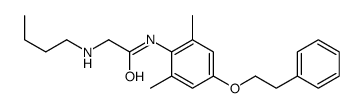 2-(butylamino)-N-[2,6-dimethyl-4-(2-phenylethoxy)phenyl]acetamide结构式
