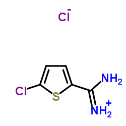 5-Chlorothiophene-2-carboximidamide hydrochloride Structure