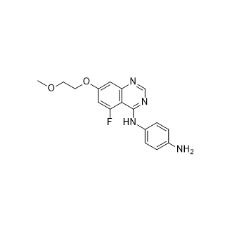 N1-(5-氟-7-(2-甲氧基乙氧基)喹唑啉-4-基)苯-1,4-二胺结构式