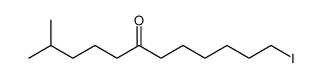 12-iodo-2-methyldodecan-6-one Structure