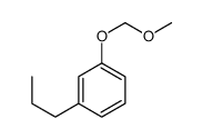 Benzene, 1-(methoxymethoxy)-3-propyl- (9CI) Structure