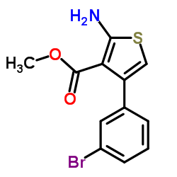 2-AMINO-4-(3-BROMO-PHENYL)-THIOPHENE-3-CARBOXYLIC ACID METHYL ESTER Structure