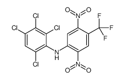 2,3,4,6-tetrachloro-N-[2,5-dinitro-4-(trifluoromethyl)phenyl]aniline Structure