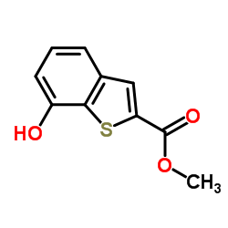 Methyl-7-hydroxy-1-benzothiophen-2-carboxylat结构式