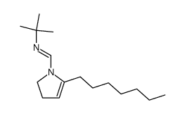 (E)-N-tert-butyl-1-(5-heptyl-2,3-dihydro-1H-pyrrol-1-yl)methanimine Structure