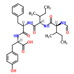 100007-40-7 structure