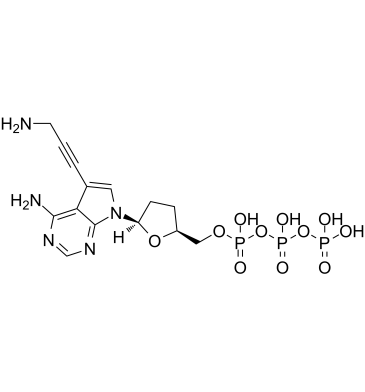 7-Deaza-7-propargylamino-ddATP结构式