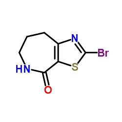 2-Bromo-5,6,7,8-tetrahydro-4H-[1,3]thiazolo[5,4-c]azepin-4-one Structure