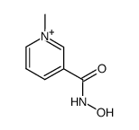 Pyridinium,3-[(hydroxyamino)carbonyl]-1-methyl-结构式