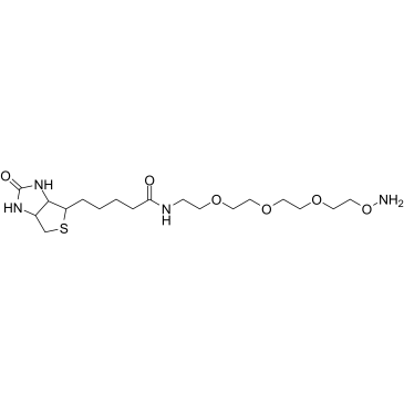 Biotin-PEG3-oxyamine结构式
