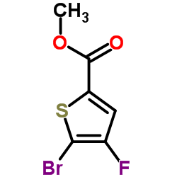 5-溴-4-氟-2-噻吩甲酸甲酯图片