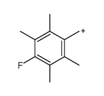 2,3,5,6-Tetramethyl-4-fluor-benzylkation Structure