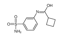 Cyclobutanecarboxamide, N-[3-(aminosulfonyl)phenyl]- (9CI)结构式