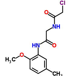 2-CHLORO-N-(2-[(2-METHOXY-5-METHYLPHENYL)AMINO]-2-OXOETHYL)ACETAMIDE picture