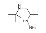 N-(2-hydrazinylpropyl)-2-methylpropan-2-amine结构式