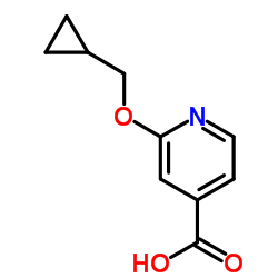 2-(cyclopropylmethoxy)pyridine-4-carboxylic acid Structure