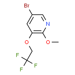 5-Bromo-2-methoxy-3-(2,2,2-trifluoroethoxy)pyridine picture