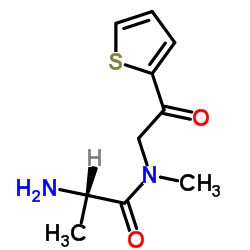 N-Methyl-N-[2-oxo-2-(2-thienyl)ethyl]alaninamide结构式
