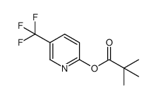 5-(trifluoromethyl)pyridin-2-yl pivalate结构式