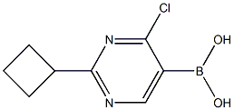 4-Chloro-2-(cyclobutyl)pyrimidine-5-boronic acid picture