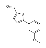 5-(3-METHOXY-PHENYL)-THIOPHENE-2-CARBALDEHYDE picture