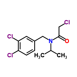 2-Chloro-N-(3,4-dichlorobenzyl)-N-isopropylacetamide结构式