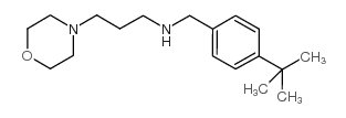 (4-叔丁基苄基)-(3-吗啉-4-丙基)胺结构式