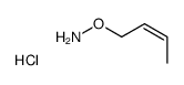 O-but-2-enylhydroxylamine,hydrochloride结构式