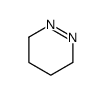 3,4,5,6-tetrahydropyridazine Structure