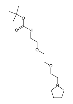 {2-[2-(2-Pyrrolidin-1-yl-ethoxy)-ethoxy]-ethyl}-carbamic acid tert-butyl ester结构式