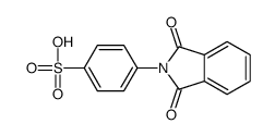 4-(1,3-dioxoisoindol-2-yl)benzenesulfonic acid结构式