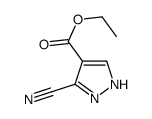3-氰基-1H-吡唑-4-羧酸乙酯结构式