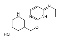 N-ethyl-2-(piperidin-3-ylmethoxy)pyrimidin-4-amine,hydrochloride结构式