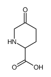 (±)-5-oxopiperidine-2-carboxylic acid结构式