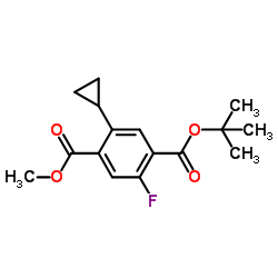 1-Methyl 4-(2-methyl-2-propanyl) 2-cyclopropyl-5-fluoroterephthalate Structure
