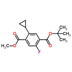 1-Methyl 4-(2-methyl-2-propanyl) 2-cyclopropyl-5-fluoroterephthalate结构式