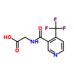 tfng standard Structure