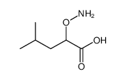 2-aminooxy-4-methylpentanoic acid结构式