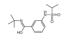 N-tert-butyl-3-(propan-2-ylsulfonylamino)benzamide结构式