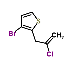 3-Bromo-2-(2-chloro-2-propen-1-yl)thiophene Structure