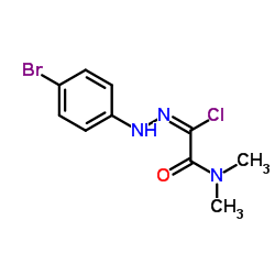 2-[2-(4-Bromophenyl)hydrazono]-2-chloro-N,N-dimethylacetamide结构式