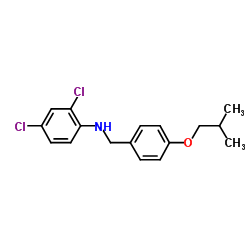 2,4-Dichloro-N-(4-isobutoxybenzyl)aniline结构式