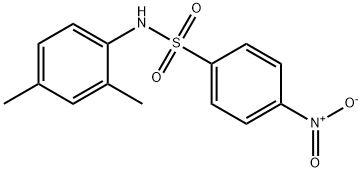 N-(2,4-DiMethylphenyl)-4-nitrobenzenesulfonaMide Structure