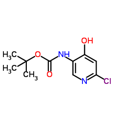 2-Methyl-2-propanyl (6-chloro-4-hydroxy-3-pyridinyl)carbamate Structure
