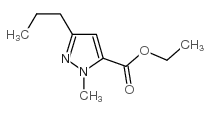 1-Methyl-3-propyl-1H-pyrazole-5-carboxylic acid ethyl ester picture