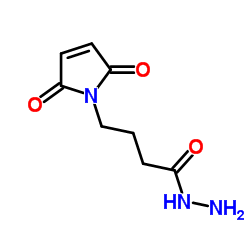 4-Maleimidobutyric acid hydrazide structure